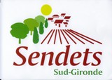 sendets logo electronique.jpg